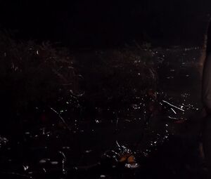 Nude Alexandra Bokova - Mermaid Down (2019)