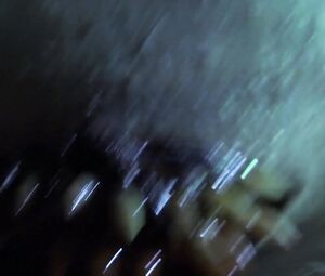 Nude Cayt Feinics, Dilynn Fawn Harvey, Rachel Lagen - Clownado (2019)