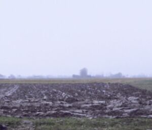 Nude Roxanne Gregory - Discard (2014)