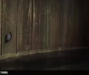 Garcelle Beauvais & Salma Hayek Nude And Hot Sex Movie Scenes