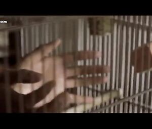 Nude Celebs - Doggy Style Scenes