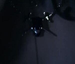 Sex video Polar (2919) Ruby O Fee Netflix Movie Sex Scene