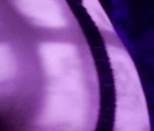 Classic sex scene Playmate January 1991: Stacy Leigh Arthur