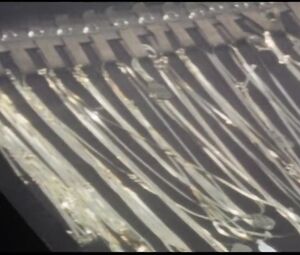 Classic sex scene Playmate may 1985 - PMOY 1986: Kathy Shower