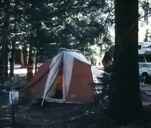 Classic sex scene Bad Girls 1 (1981)