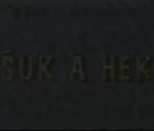 Classic Adult Cartoon XXX - Sex with Aliens