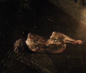 Nude Anya Chalotra, Jade Croot sexy - The Witcher s01e01-06 (2019)