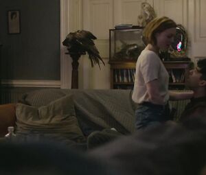 Nude Holliday Grainger, Amy Molloy - Animals (2019)