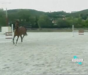 Naked Sports with horses