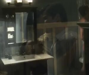 Man easily falls for celebrity and fucks her everywhere in several excerpts from movie