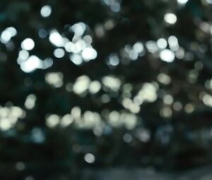 Libidinous Spanish Inma Cuesta nude with juicy boobies is humped in La novia (2015)