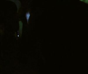 Movie sex scene with teen Malena Morgan who loudly moans during fucking in the car