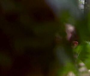 British Natalie Dormer in outdoor shameless sex scene from TV series The Tudors