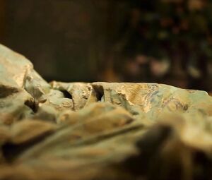 Enjoy Elle Fanning and Charity Wakefield receiving cocks in The Great (2020)