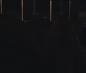 Ryan Bown kisses Clare McCann in pool and gives sex in bed in feature movie Benefited