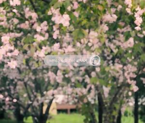 Fighting game takes Pom Klementieff nude to be penetrated in Black Mirror S05E01