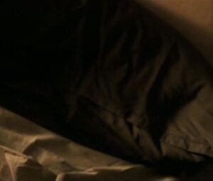 Vicky Cristina Barcelona is an erotic story about love and pussy-nailing (2008)