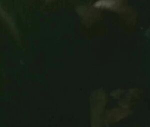 Katheryn Winnick from TV series Vikings gets on top of guy and rides him till she cums
