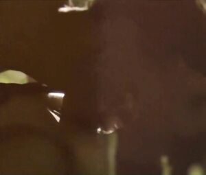 Celebs video of Louisa Krause being carnal in oral and vaginal way in Toe to Toe (2009)