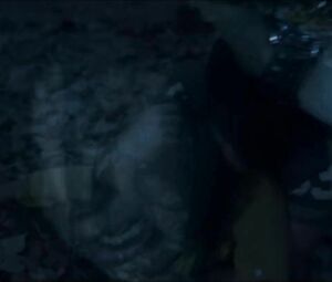 Desi girl from Bollywood film gets fucked willingly or not inside house and in the forest