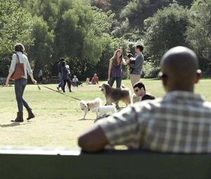 Man takes lead and humps Diora Baird who runs away before orgasm in Casual S01e03 (2015)