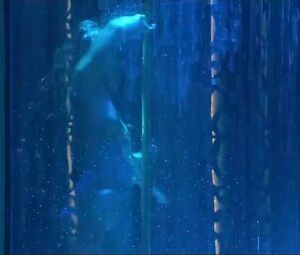 Explicit scene in the striptease club from comedy film The Internship with pole-dances