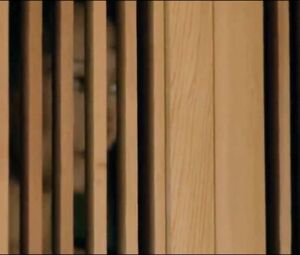 Girl doesn't get murdered by hitman but drilled in bed in retro film Crying Freeman (1995)