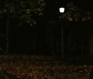 Girl doesn't get murdered by hitman but drilled in bed in retro film Crying Freeman (1995)