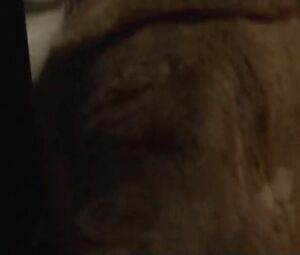 Holliday Grainger and new boyfriend kiss and do much more in drama movie Animals (2019)