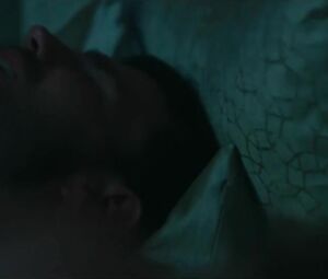 Haley Bennett is fucked by movie partner in drama movie about domination Swallow (2019)