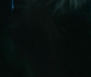 Haley Bennett is fucked by movie partner in drama movie about domination Swallow (2019)