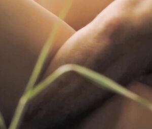 Naked star Maria Valverde has outdoor sex with one-minute boyfriend in the grass