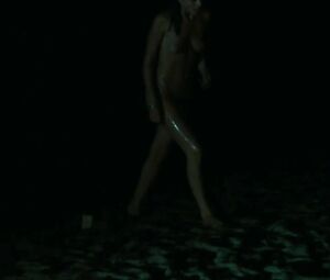 Old guy falls in love with younger Agnes Soral in One Wild Moment sex scene (1977)