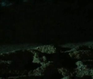 Old guy falls in love with younger Agnes Soral in One Wild Moment sex scene (1977)