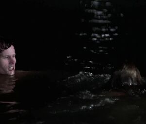 Beverly D'Angelo nude exposes hot body with no sense of shame in movie compilation