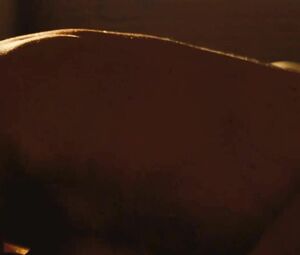 Lyne Renee nude and Michelle Lukes nude fool around with boys in TV series Strike back