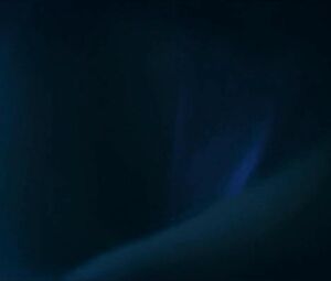 Morgan Saylor is tricked into carnal fun in multiple moments from White Girl (2016)