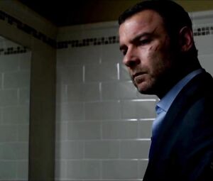 Compilation of carnal moments with sexy stars from the TV crime drama series Ray Donovan