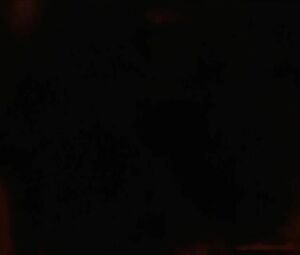 Liv Taylor nude is born to be a pornstar but she takes part in Stealing Beauty