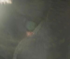 In Secret scene where man with long hair makes it with Elizabeth Olsen and she cums (2013)