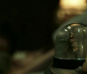 Ursula Corbero nude gets humped by boys and tries to do it with the chick in Money Heist