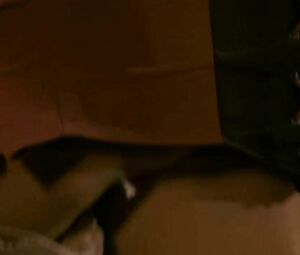 Sex scene with participation of sexy Kristanna Loken fooling around with the lover