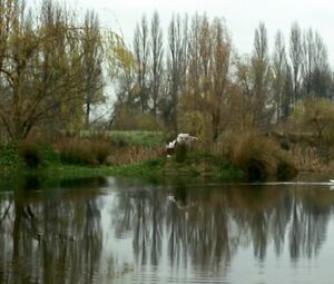 Koo Stark nude in Cruel Passion obscene HD sex scene where she is coerced into sex (1977)