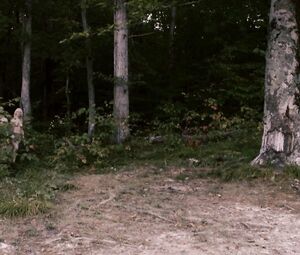 Naked Lucretia Lynn fucks and dies in Harvest Lake (2016) HD