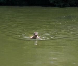 Naked Sandra Pascal scene from Letzter Wille s01e06 (2018)