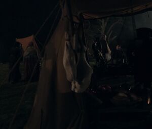 Sexy Actress XXX > Caitriona Balfe from Outlander s05e01 (2020)