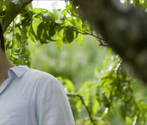 Morgan Taylor Campbell displays her sexy bush in The Orchard (2016)