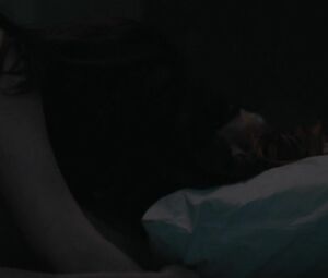 Lesbian and BJ scenes from The Girlfriend Experience s02e07 (2017), featuring Louisa Krause