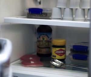 Margot Robbie - Vogue Magazine (2016)