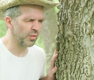 Nadia White, Brittany Blanton, Ayse Howard nude - Donβt Fuck in the Woods (2016)